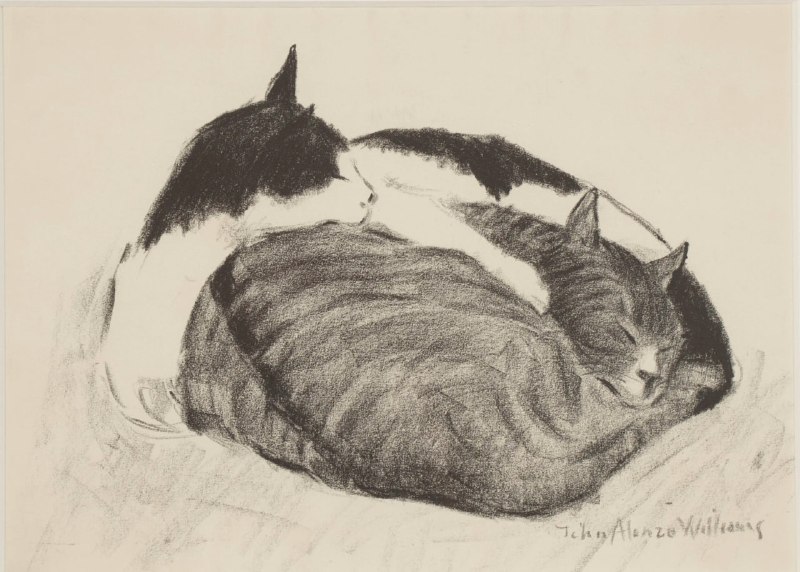 «Кошки»John Alonzo Williams (1…